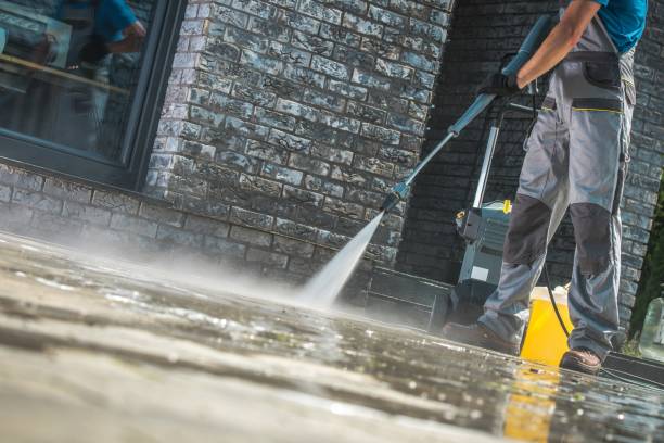 Animal Enclosure Cleaning in Delano, CA